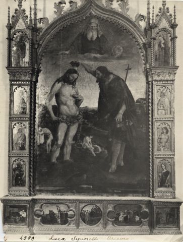 Anonimo — Signorelli Luca; Francesco di Gentile; Lorenzo di Alessandro - sec. XVI - pala di Arcevia — insieme